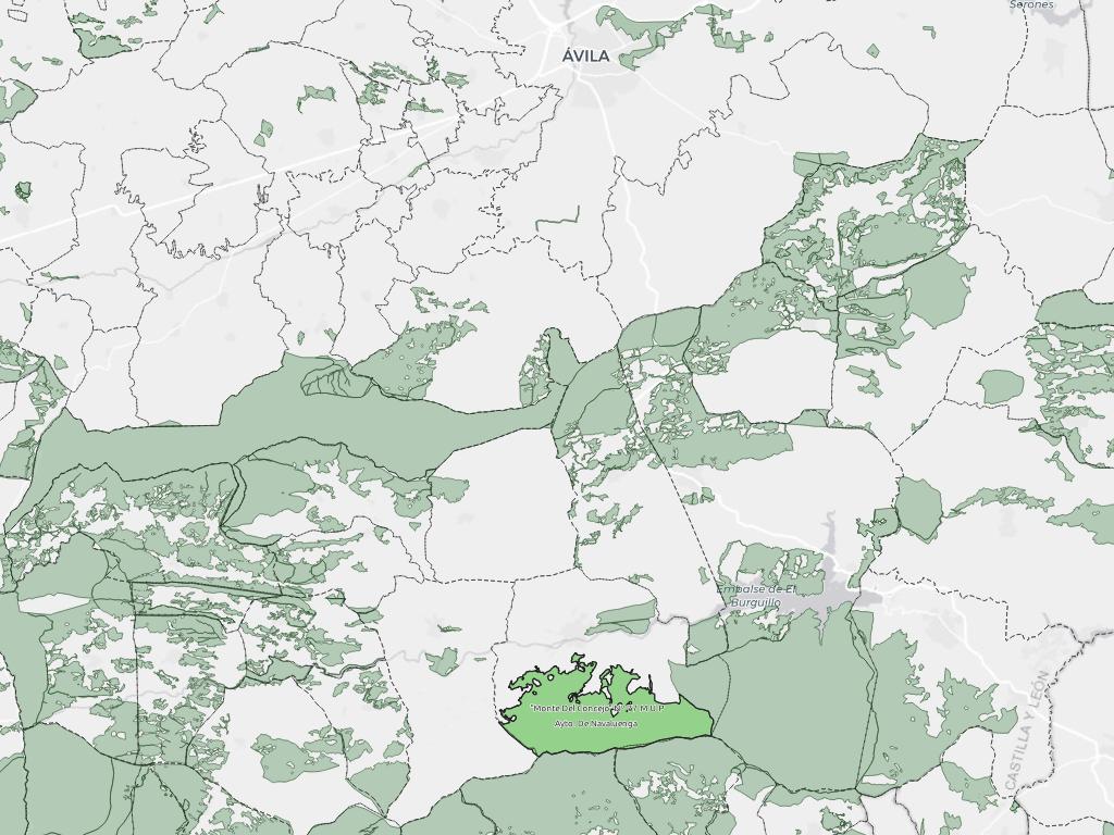 situación del monte