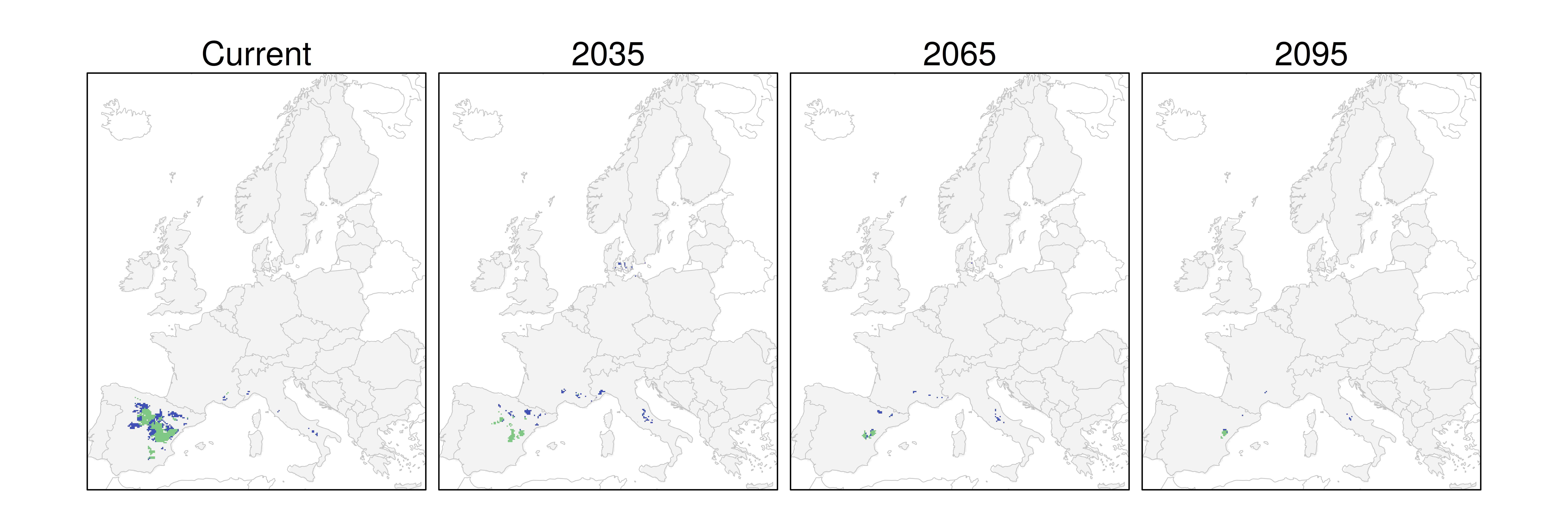 Distribución de la sabina albar RCP 8.5 (verde distribución esperada simulada utilizando un modelo de dispersión; azul representa el rango adecuado potencial que no está ocupado por las especies debido a limitaciones de dispersión)
