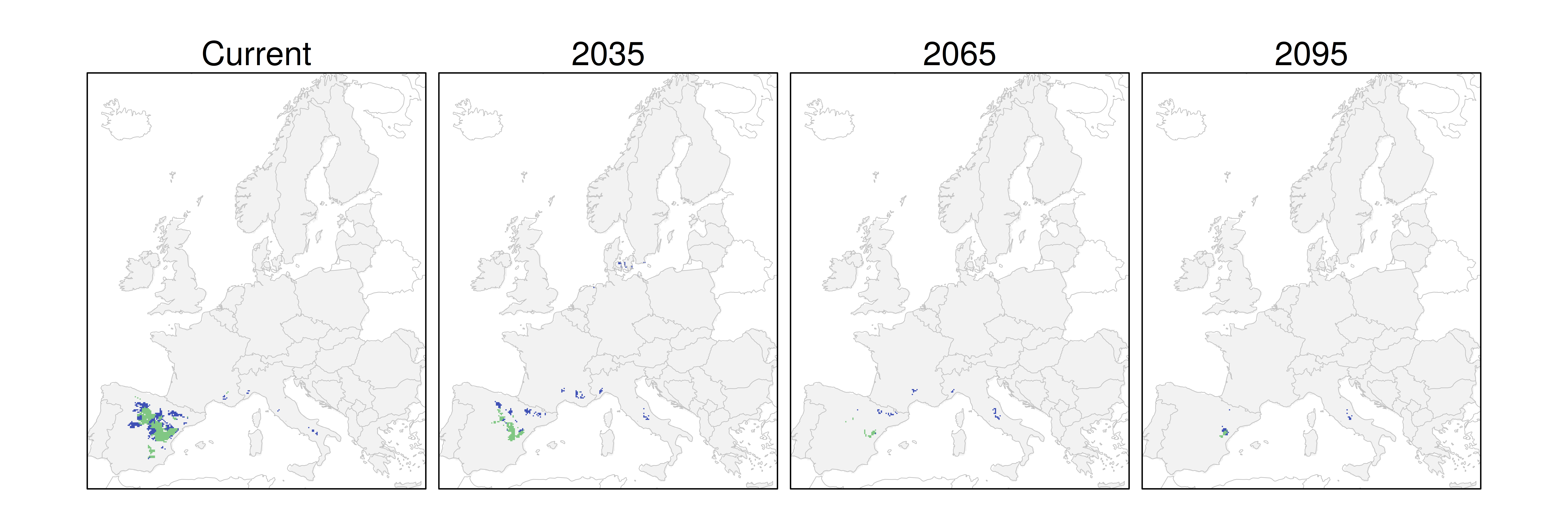 Distribución de la sabina albar RCP 4.5 (verde distribución esperada simulada utilizando un modelo de dispersión; azul representa el rango adecuado potencial que no está ocupado por las especies debido a limitaciones de dispersión)