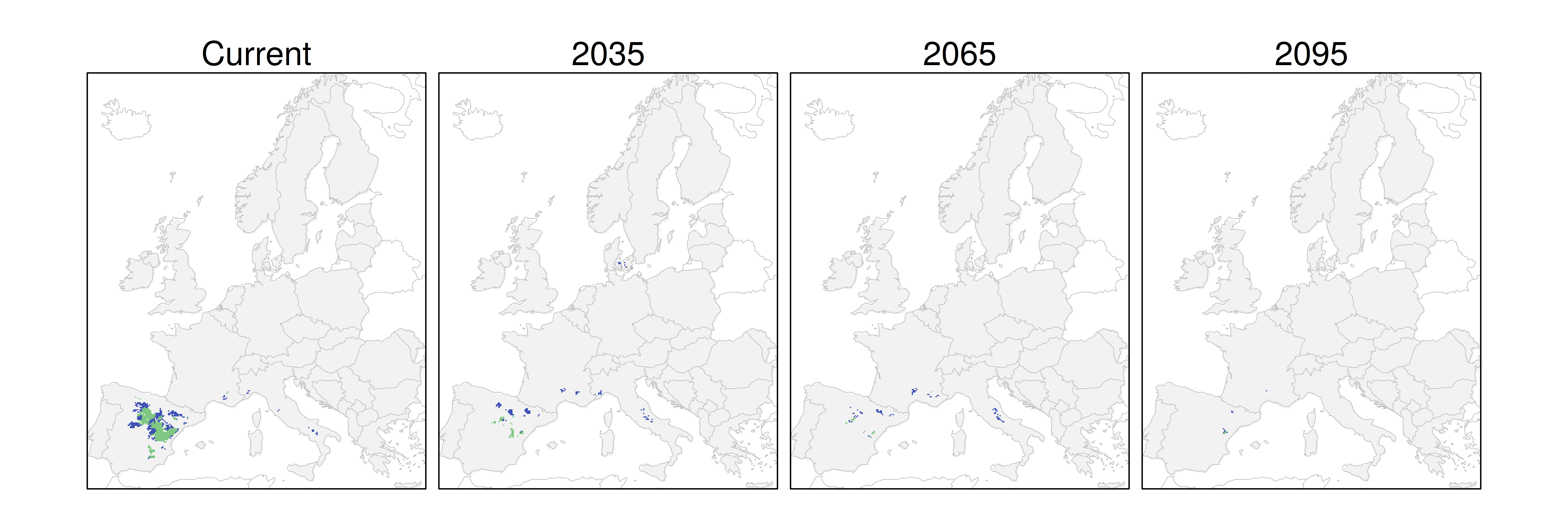 Distribución de la sabina albar RCP 8.5 (verde distribución esperada simulada utilizando un modelo de dispersión; azul representa el rango adecuado potencial que no está ocupado por las especies debido a limitaciones de dispersión)