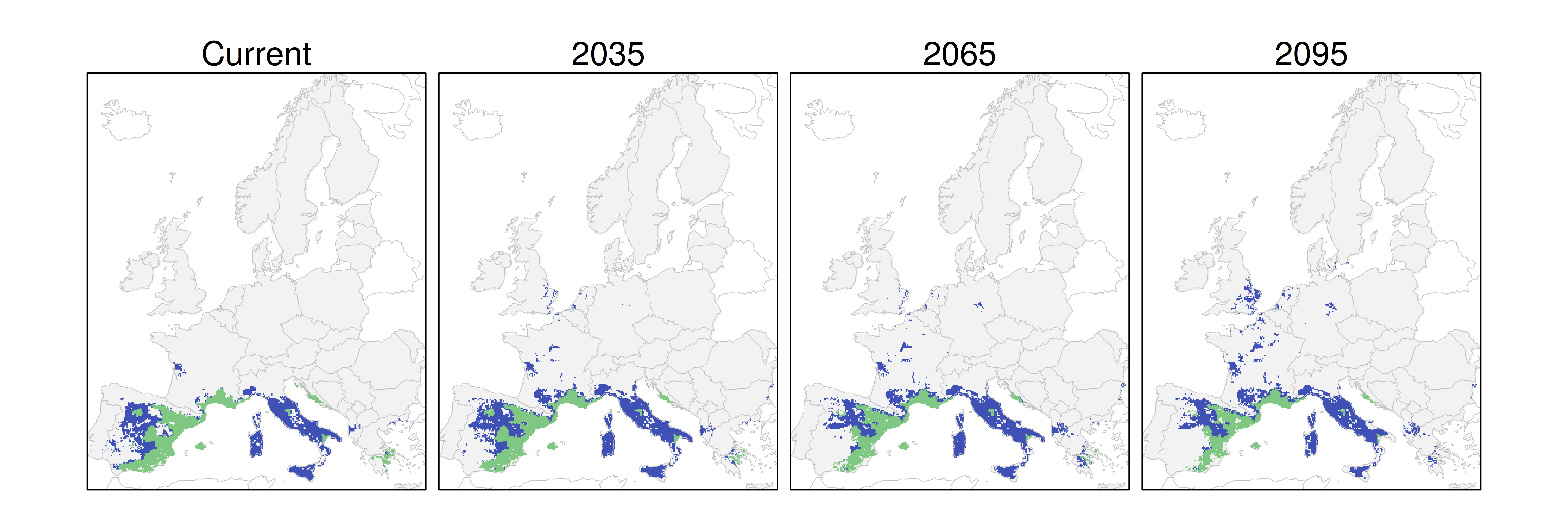 Distribución del pino carrasco RCP 4.5 (verde distribución esperada simulada utilizando un modelo de dispersión; azul representa el rango adecuado potencial que no está ocupado por las especies debido a limitaciones de dispersión)
