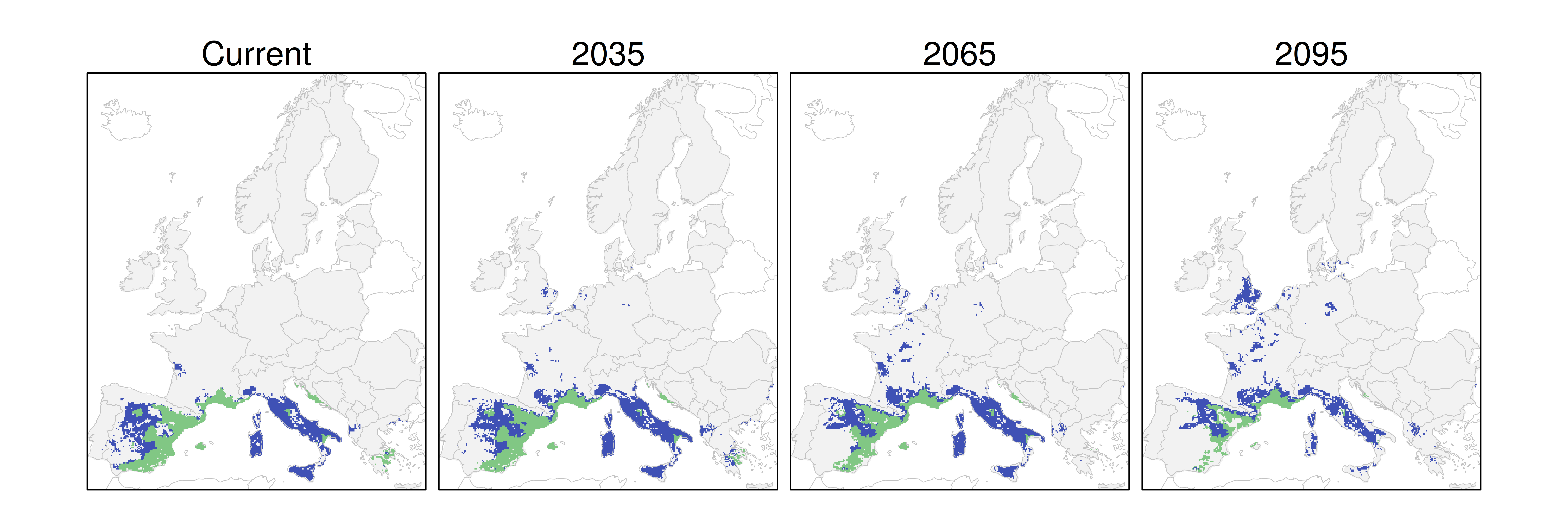 Distribución del pino carrasco RCP 8.5 (verde distribución esperada simulada utilizando un modelo de dispersión; azul representa el rango adecuado potencial que no está ocupado por las especies debido a limitaciones de dispersión)