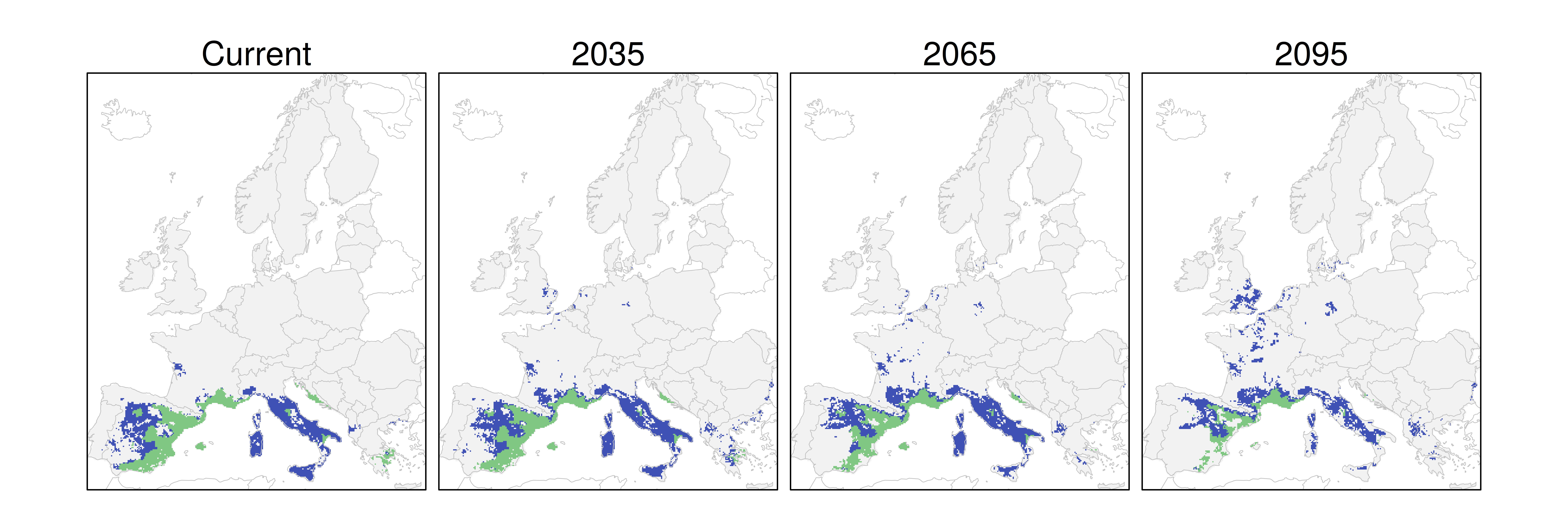 Distribución del pino carrasco RCP 8.5 (verde distribución esperada simulada utilizando un modelo de dispersión; azul representa el rango adecuado potencial que no está ocupado por las especies debido a limitaciones de dispersión)