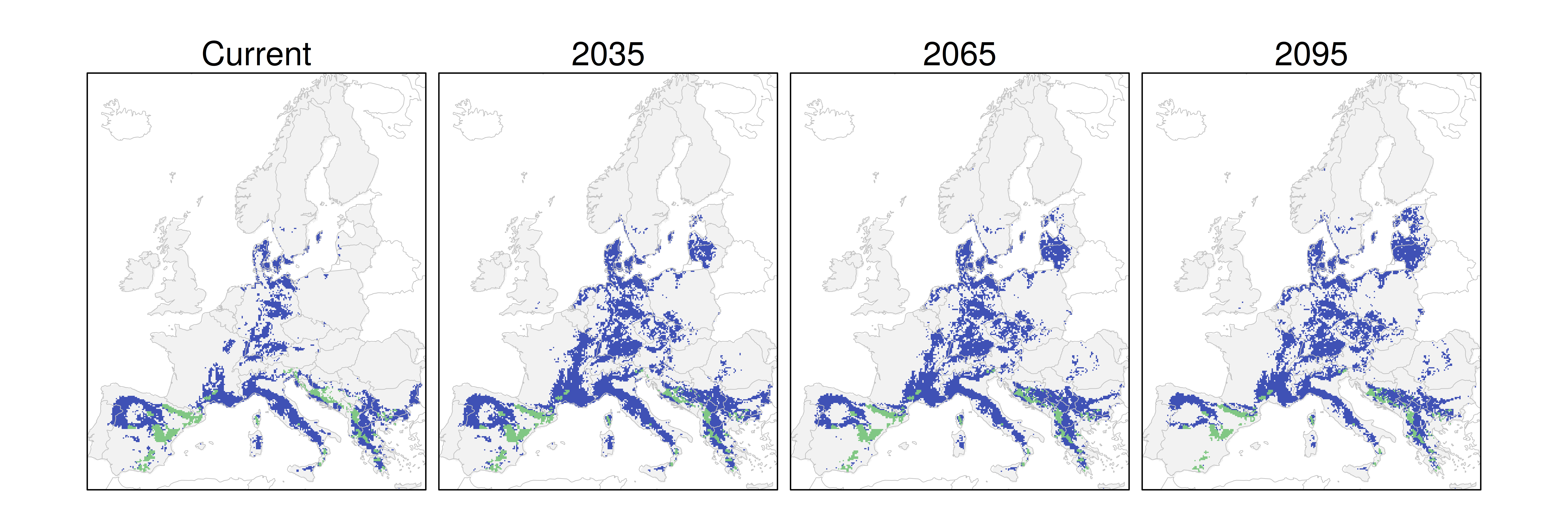 Distribución del pino negral RCP 4.5 (verde distribución esperada simulada utilizando un modelo de dispersión; azul representa el rango adecuado potencial que no está ocupado por las especies debido a limitaciones de dispersión)