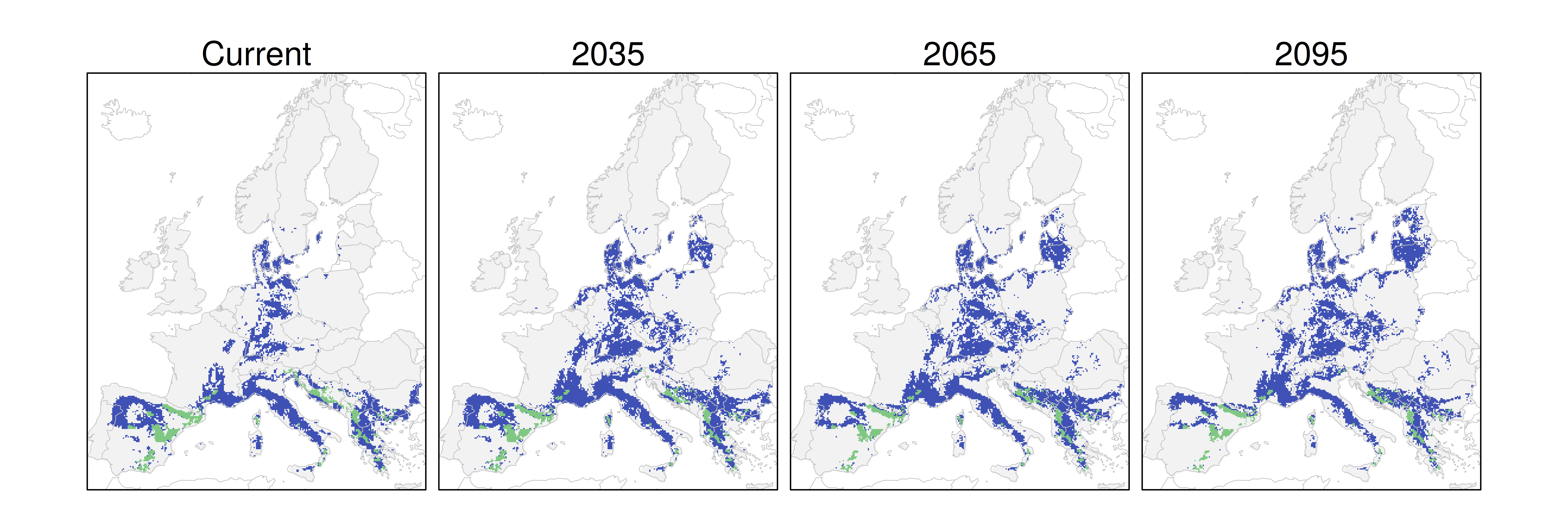 Distribución del pino negral RCP 4.5 (verde distribución esperada simulada utilizando un modelo de dispersión; azul representa el rango adecuado potencial que no está ocupado por las especies debido a limitaciones de dispersión)