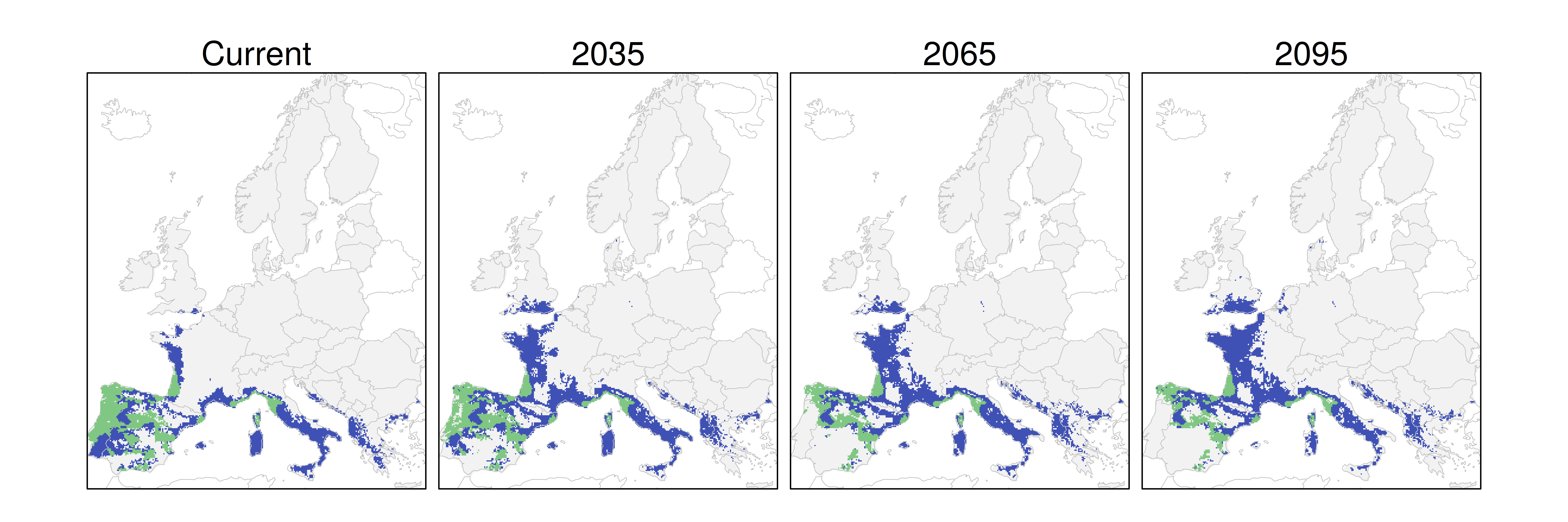 Distribución del pino resinero RCP 4.5 (verde distribución esperada simulada utilizando un modelo de dispersión; azul representa el rango adecuado potencial que no está ocupado por las especies debido a limitaciones de dispersión)