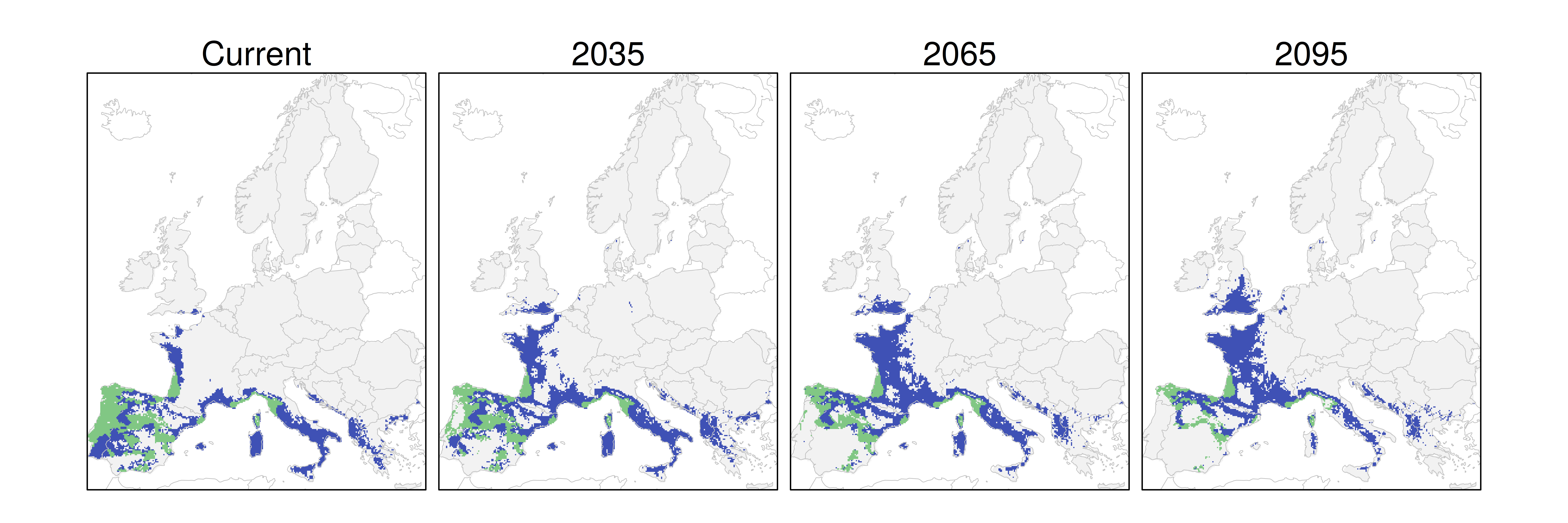 Distribución del pino resinero RCP 8.5 (verde distribución esperada simulada utilizando un modelo de dispersión; azul representa el rango adecuado potencial que no está ocupado por las especies debido a limitaciones de dispersión)