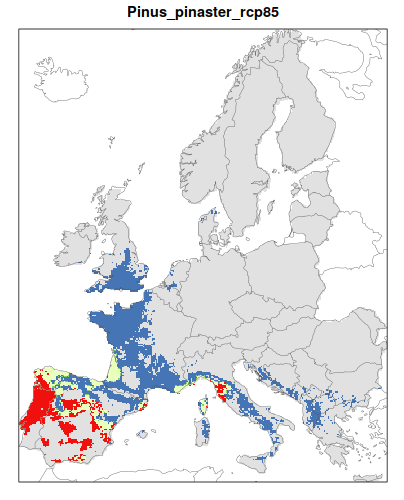 RCP 8.5 En verde las áreas de "presencia estable" que seguirán siendo un hábitat adecuado desde el presente hasta finales de siglo; en rojo las áreas "descolonizadas" que se volverán climáticamente inadecuadas para finales de siglo; en azul las áreas 'Adecuadas pero no ocupadas' que se volverán climáticamente adecuadas a finales del siglo pero que no serán colonizadas naturalmente debido a limitaciones de dispersión; en gris 'Siempre ausentes' donde la especie permanecerá ausente