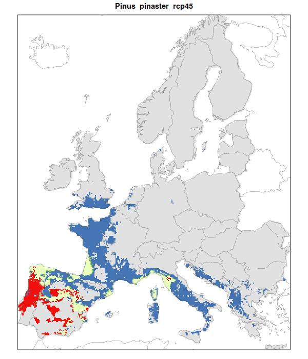 RCP 4.5 En verde las áreas de "presencia estable" que seguirán siendo un hábitat adecuado desde el presente hasta finales de siglo; en rojo las áreas "descolonizadas" que se volverán climáticamente inadecuadas para finales de siglo; en azul las áreas 'Adecuadas pero no ocupadas' que se volverán climáticamente adecuadas a finales del siglo pero que no serán colonizadas naturalmente debido a limitaciones de dispersión; en gris 'Siempre ausentes' donde la especie permanecerá ausente