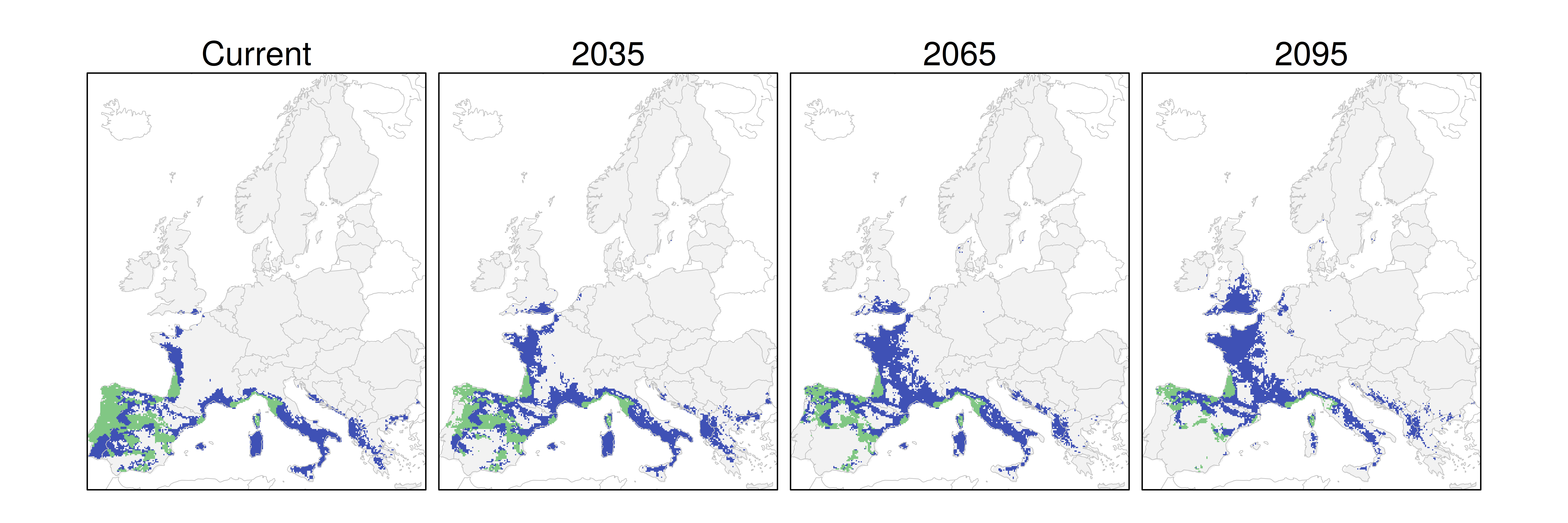 Distribución del pino resinero RCP 8.5 (verde distribución esperada simulada utilizando un modelo de dispersión; azul representa el rango adecuado potencial que no está ocupado por las especies debido a limitaciones de dispersión)