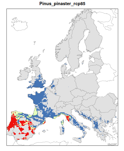 RCP 4.5 En verde las áreas de "presencia estable" que seguirán siendo un hábitat adecuado desde el presente hasta finales de siglo; en rojo las áreas "descolonizadas" que se volverán climáticamente inadecuadas para finales de siglo; en azul las áreas 'Adecuadas pero no ocupadas' que se volverán climáticamente adecuadas a finales del siglo pero que no serán colonizadas naturalmente debido a limitaciones de dispersión; en gris 'Siempre ausentes' donde la especie permanecerá ausente