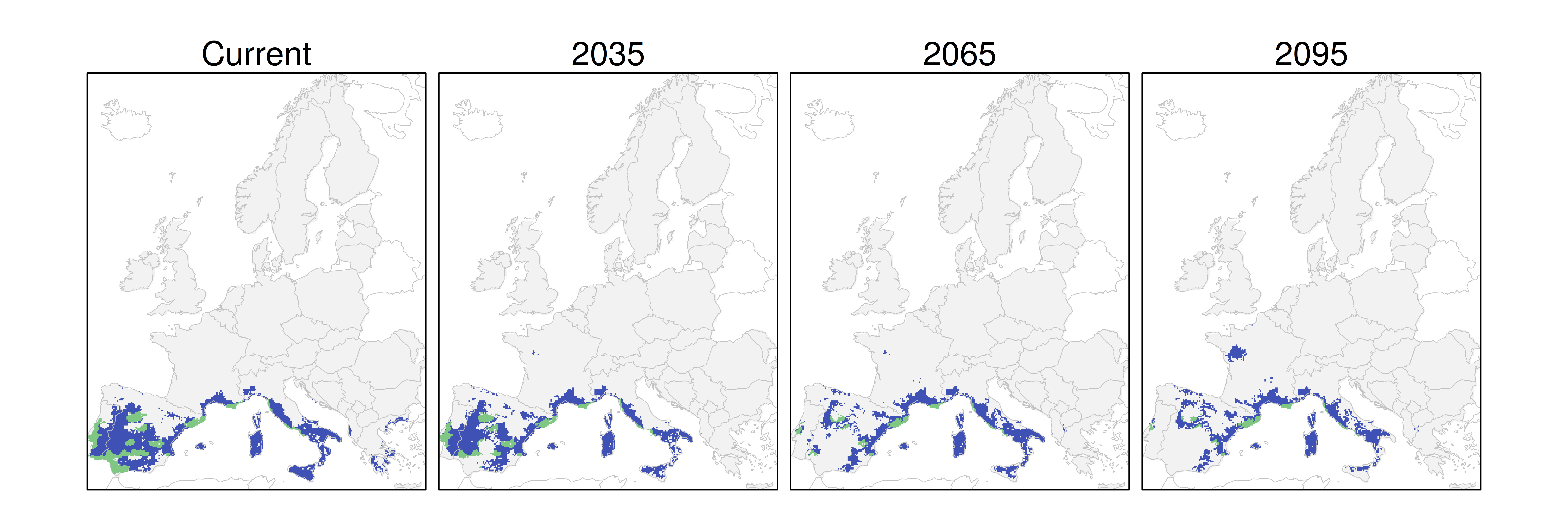 Distribución del pino piñonero RCP 4.5 (verde distribución esperada simulada utilizando un modelo de dispersión; azul representa el rango adecuado potencial que no está ocupado por las especies debido a limitaciones de dispersión)