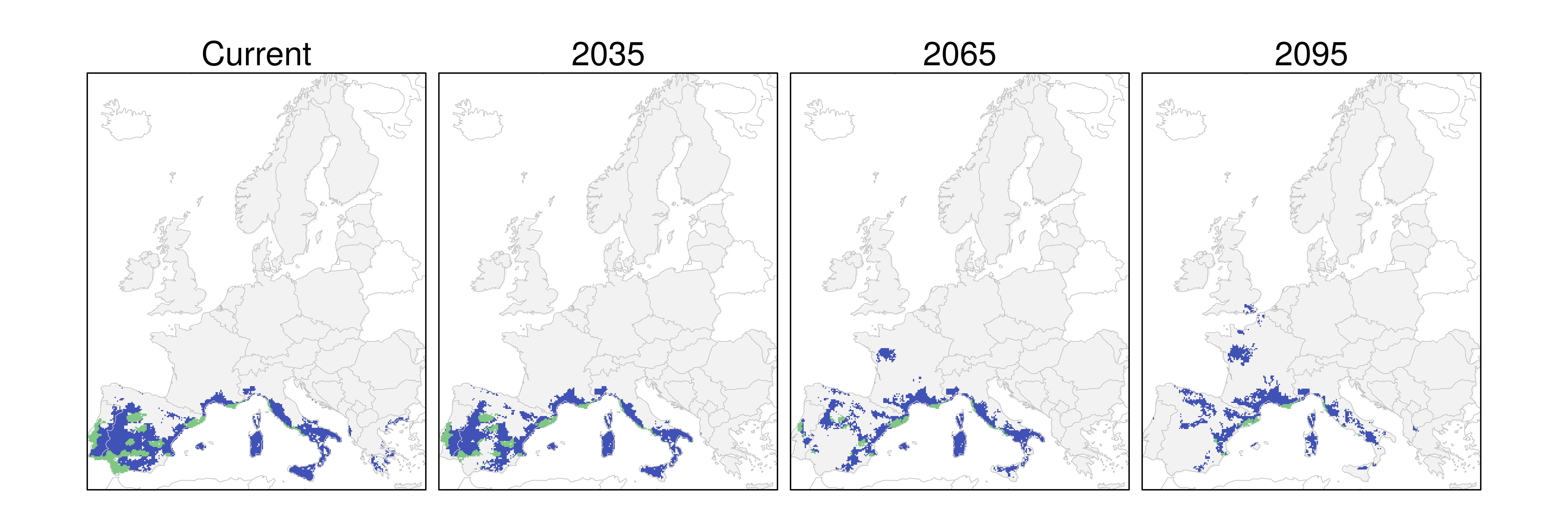 Distribución del pino piñonero RCP 8.5 (verde distribución esperada simulada utilizando un modelo de dispersión; azul representa el rango adecuado potencial que no está ocupado por las especies debido a limitaciones de dispersión)