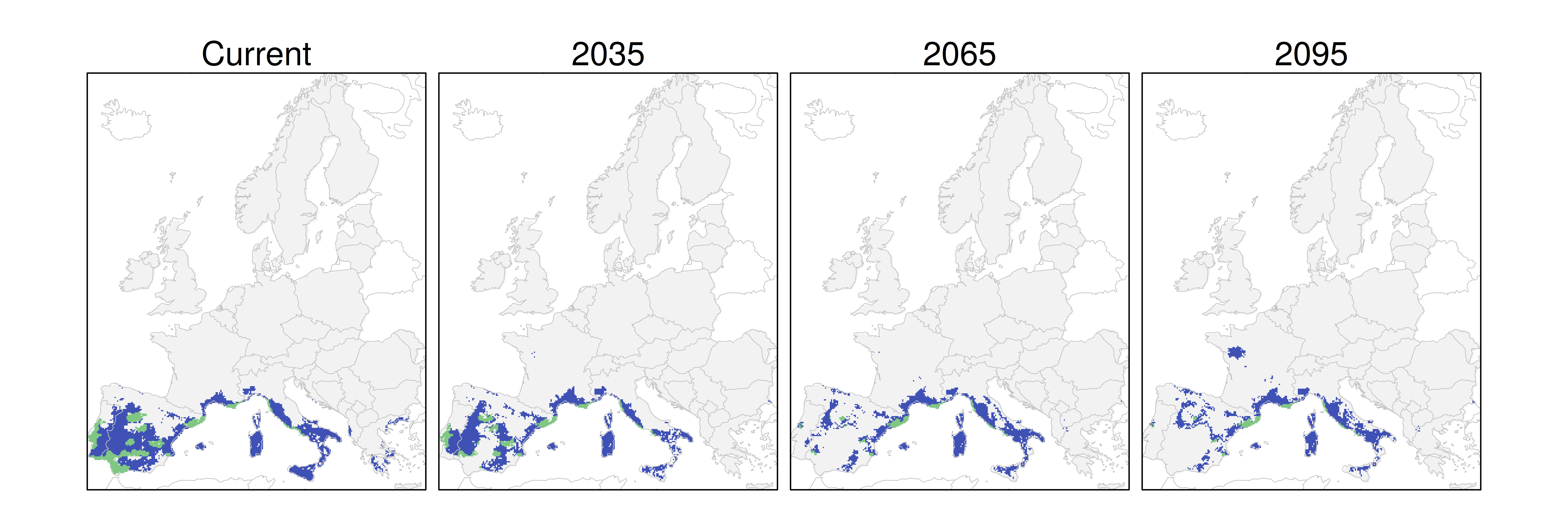 Distribución del pino piñonero RCP 4.5 (verde distribución esperada simulada utilizando un modelo de dispersión; azul representa el rango adecuado potencial que no está ocupado por las especies debido a limitaciones de dispersión)
