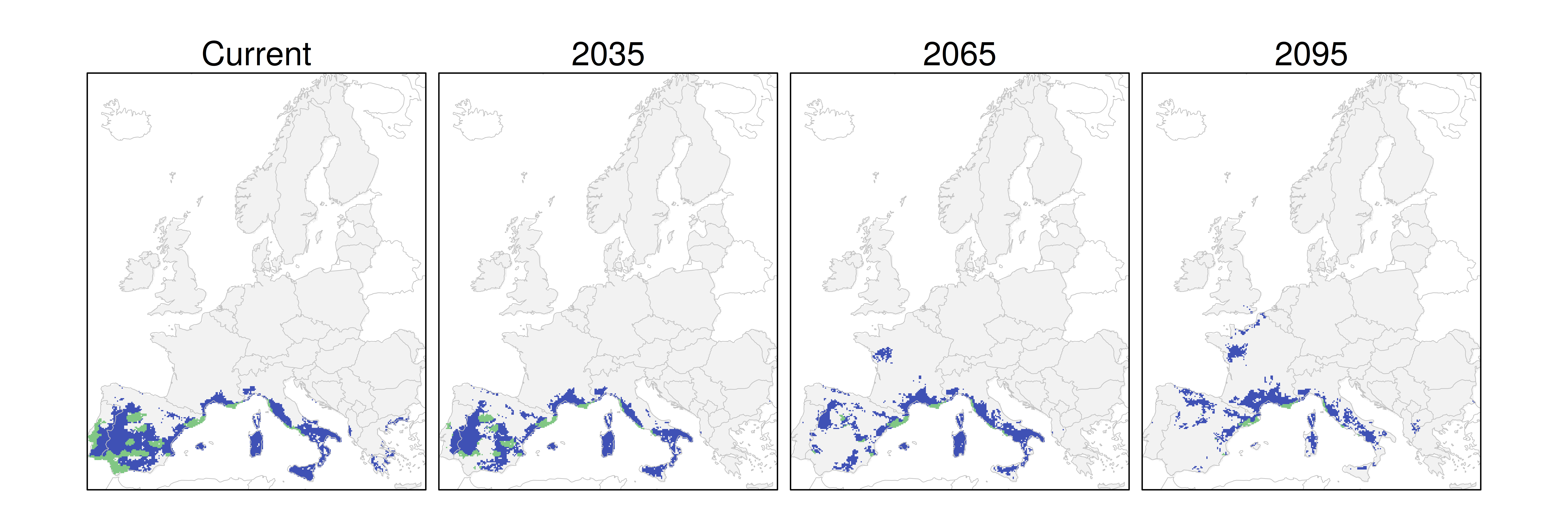 Distribución del pino piñonero RCP 8.5 (verde distribución esperada simulada utilizando un modelo de dispersión; azul representa el rango adecuado potencial que no está ocupado por las especies debido a limitaciones de dispersión)