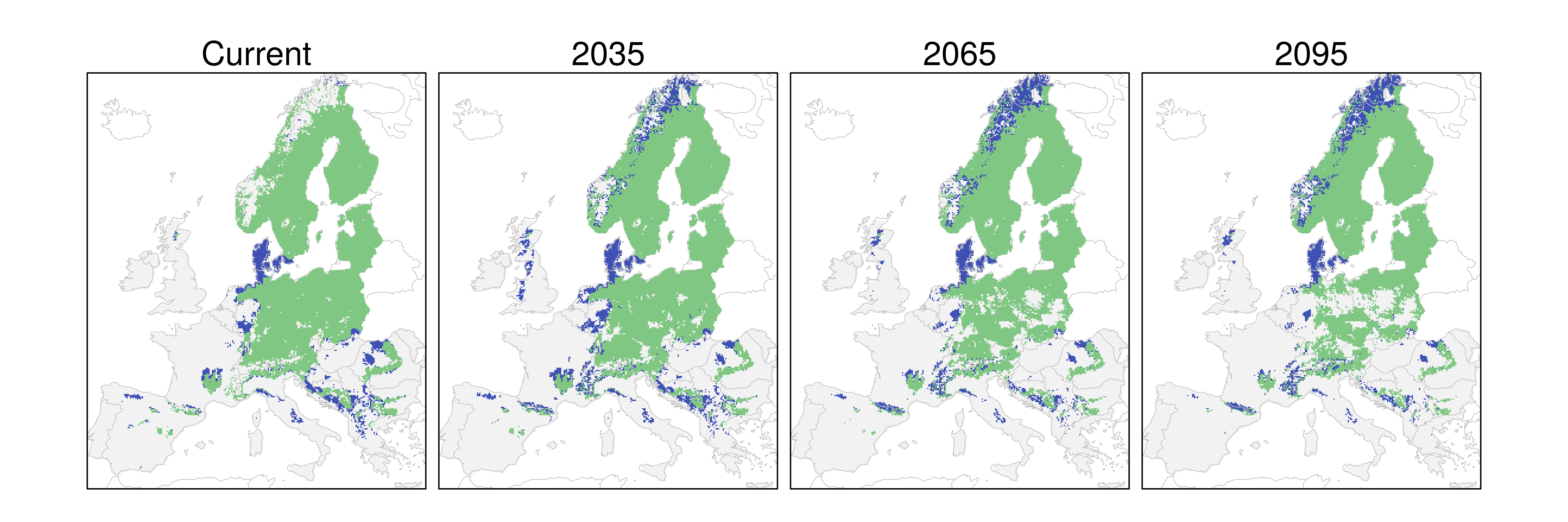 Distribución del pino silvestre RCP 4.5 (verde distribución esperada simulada utilizando un modelo de dispersión; azul representa el rango adecuado potencial que no está ocupado por las especies debido a limitaciones de dispersión)