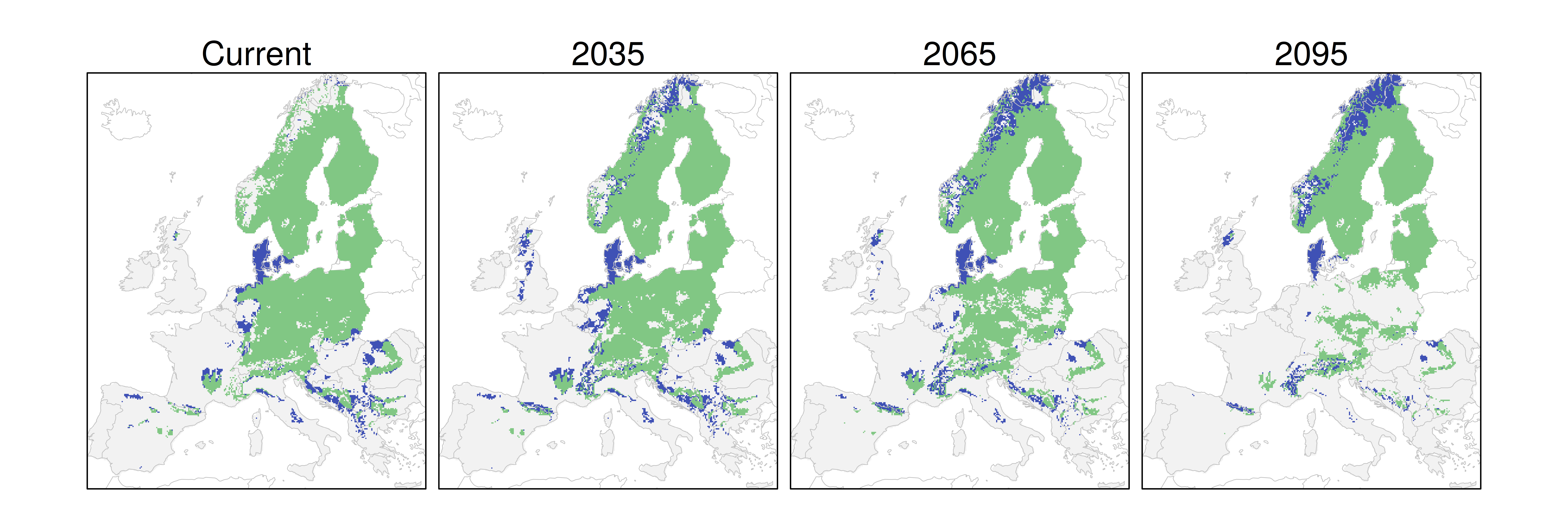 Distribución del pino silvestre RCP 8.5 (verde distribución esperada simulada utilizando un modelo de dispersión; azul representa el rango adecuado potencial que no está ocupado por las especies debido a limitaciones de dispersión)