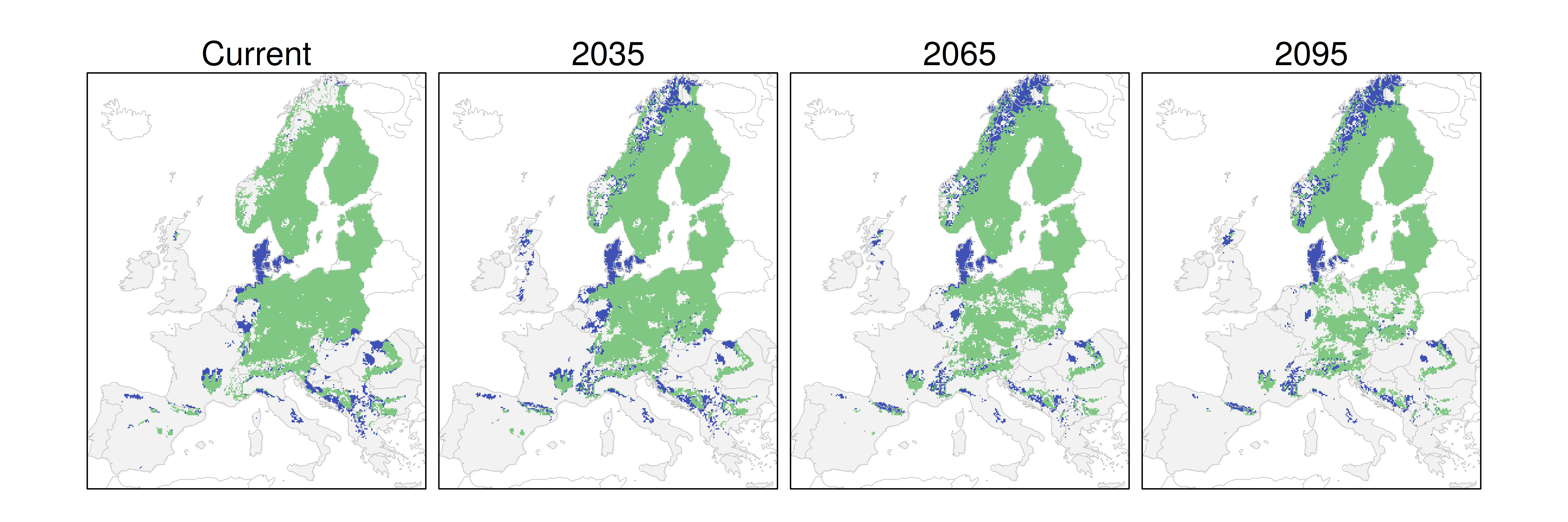Distribución del pino silvestre RCP 4.5 (verde distribución esperada simulada utilizando un modelo de dispersión; azul representa el rango adecuado potencial que no está ocupado por las especies debido a limitaciones de dispersión)