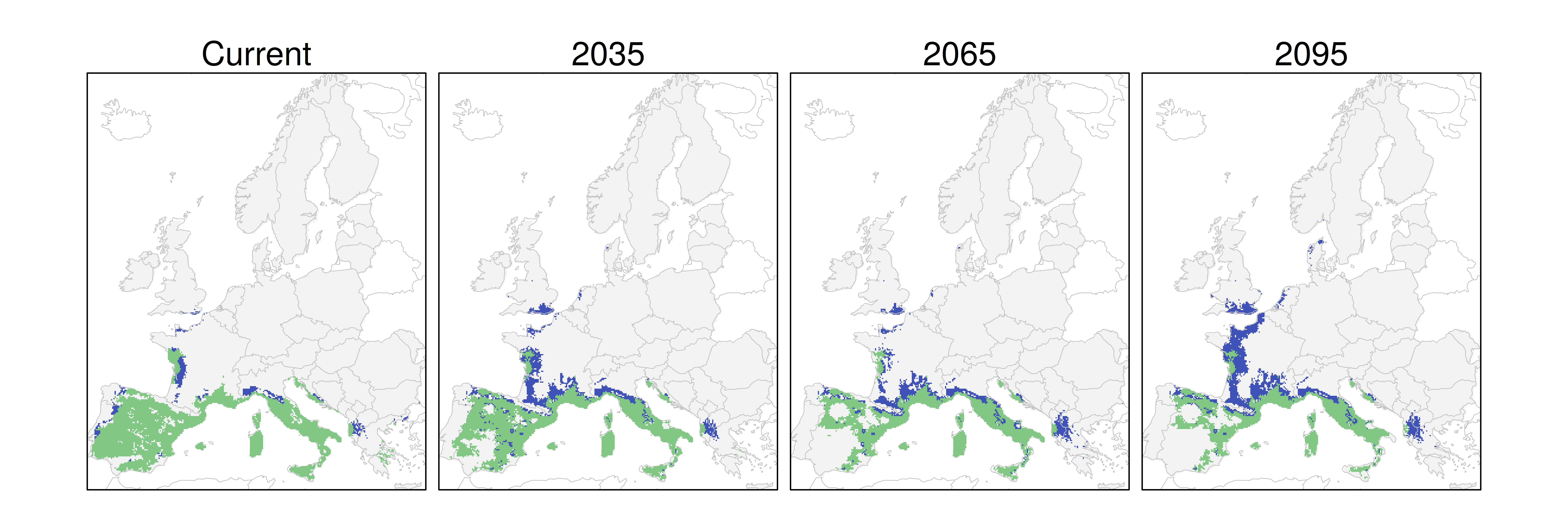Distribución de la encina RCP 4.5 (verde distribución esperada simulada utilizando un modelo de dispersión; azul representa el rango adecuado potencial que no está ocupado por las especies debido a limitaciones de dispersión)