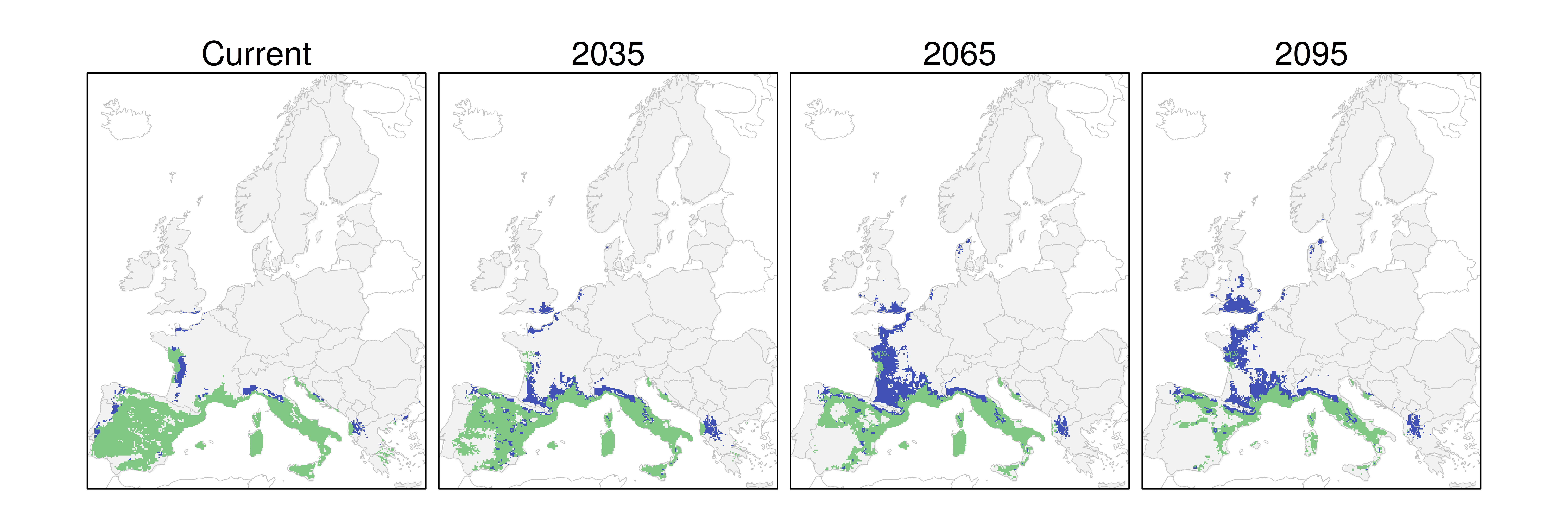 Distribución de la encina RCP 8.5 (verde distribución esperada simulada utilizando un modelo de dispersión; azul representa el rango adecuado potencial que no está ocupado por las especies debido a limitaciones de dispersión)