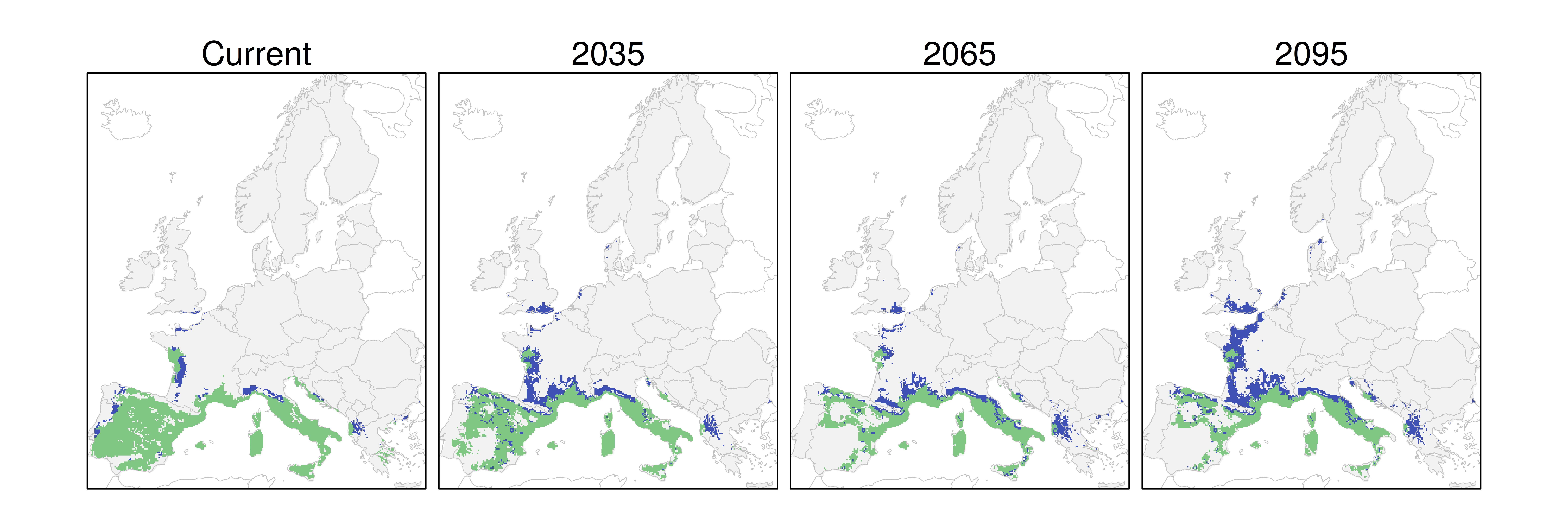 Distribución de la encina RCP 4.5 (verde distribución esperada simulada utilizando un modelo de dispersión; azul representa el rango adecuado potencial que no está ocupado por las especies debido a limitaciones de dispersión)