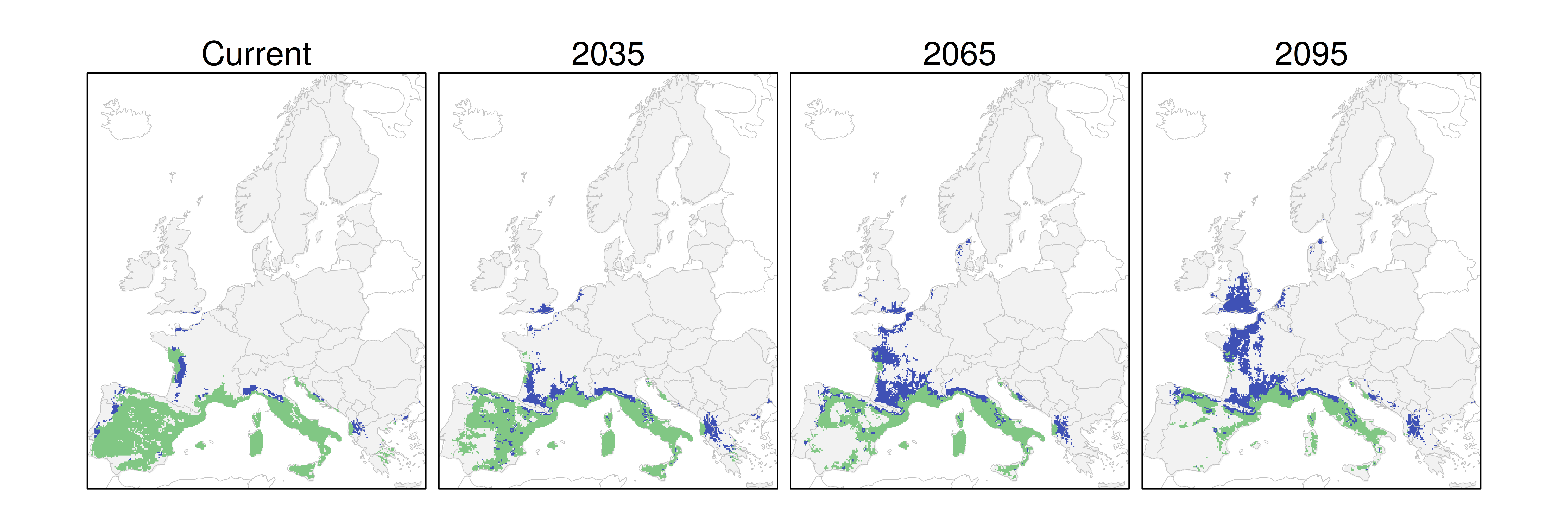 Distribución de la encina RCP 8.5 (verde distribución esperada simulada utilizando un modelo de dispersión; azul representa el rango adecuado potencial que no está ocupado por las especies debido a limitaciones de dispersión)