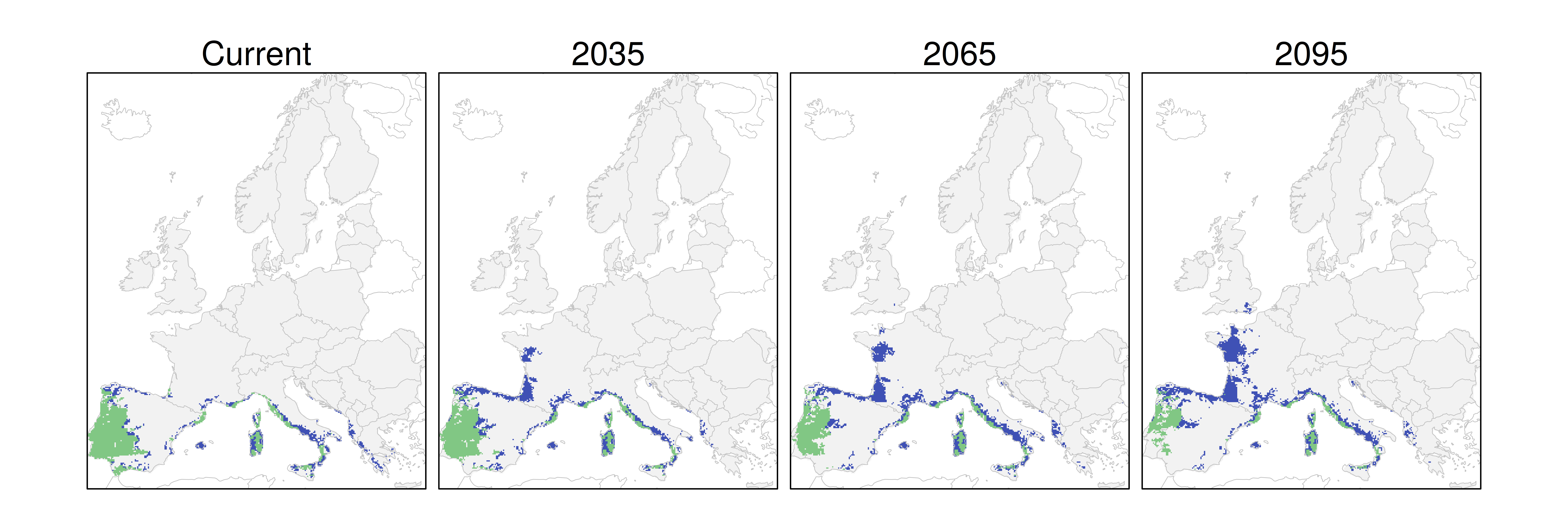 Distribución del alcornoque RCP 4.5 (verde distribución esperada simulada utilizando un modelo de dispersión; azul representa el rango adecuado potencial que no está ocupado por las especies debido a limitaciones de dispersión)