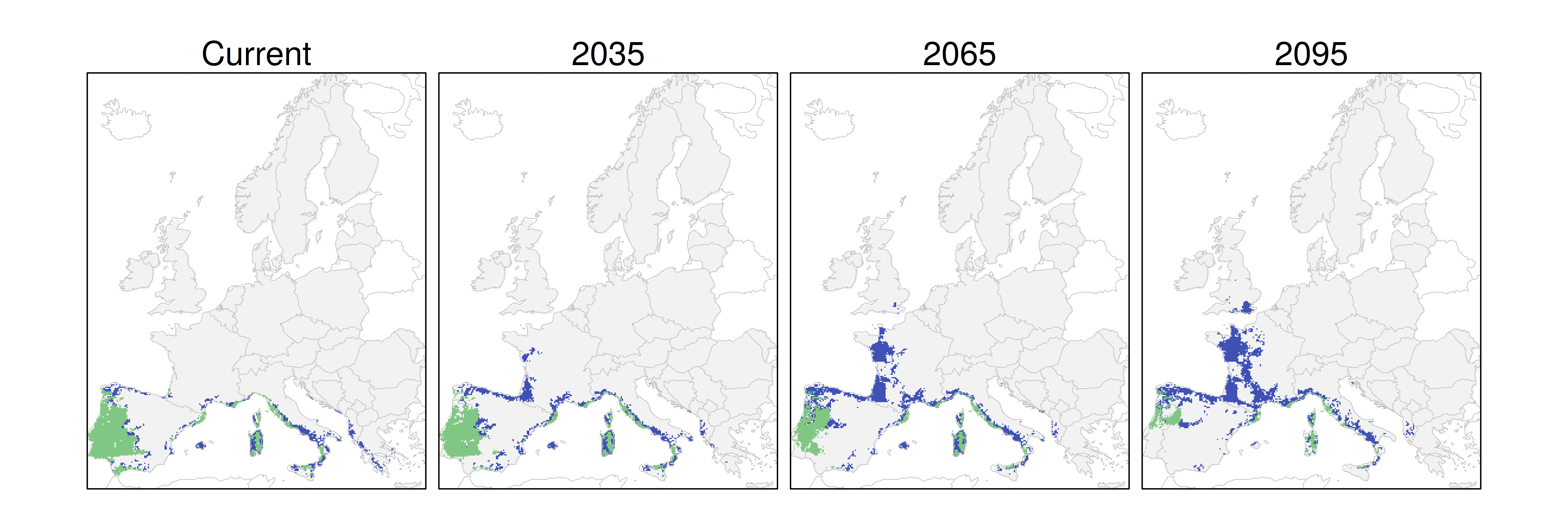 Distribución del alcornoque RCP 8.5 (verde distribución esperada simulada utilizando un modelo de dispersión; azul representa el rango adecuado potencial que no está ocupado por las especies debido a limitaciones de dispersión)