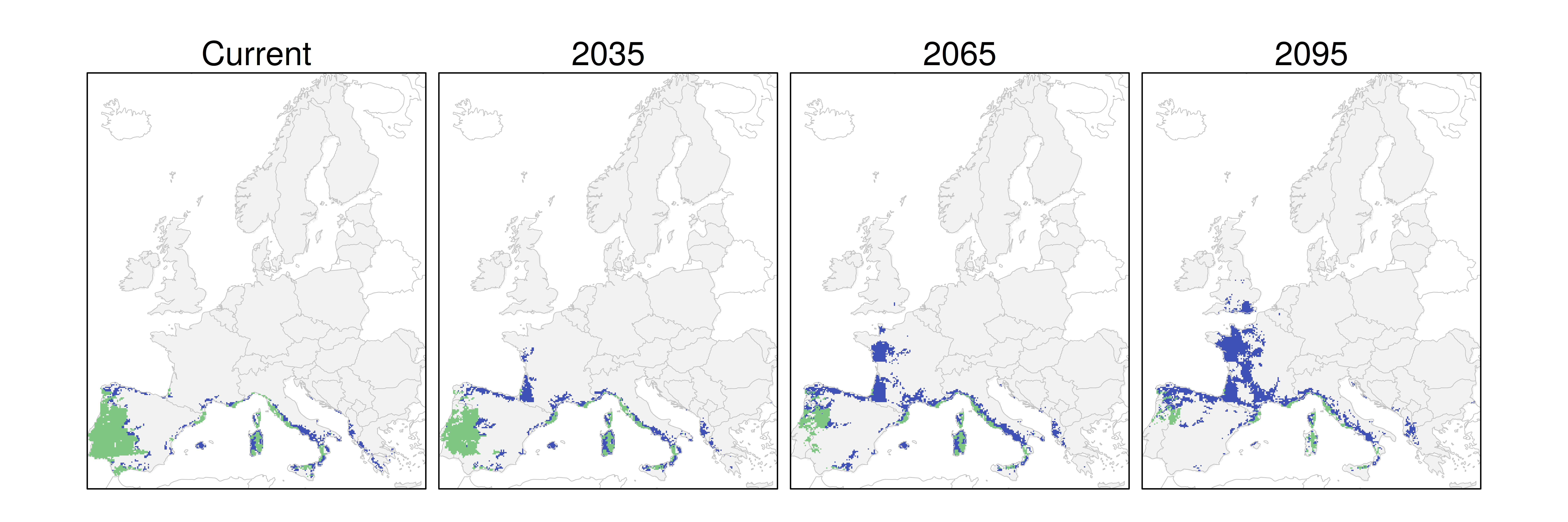 Distribución del alcornoque RCP 8.5 (verde distribución esperada simulada utilizando un modelo de dispersión; azul representa el rango adecuado potencial que no está ocupado por las especies debido a limitaciones de dispersión)